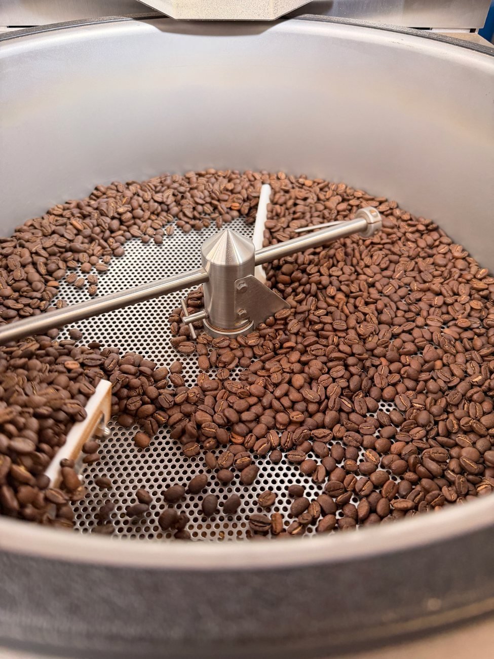 Freshly roasted beans cooling in the Curtis St roaster tray